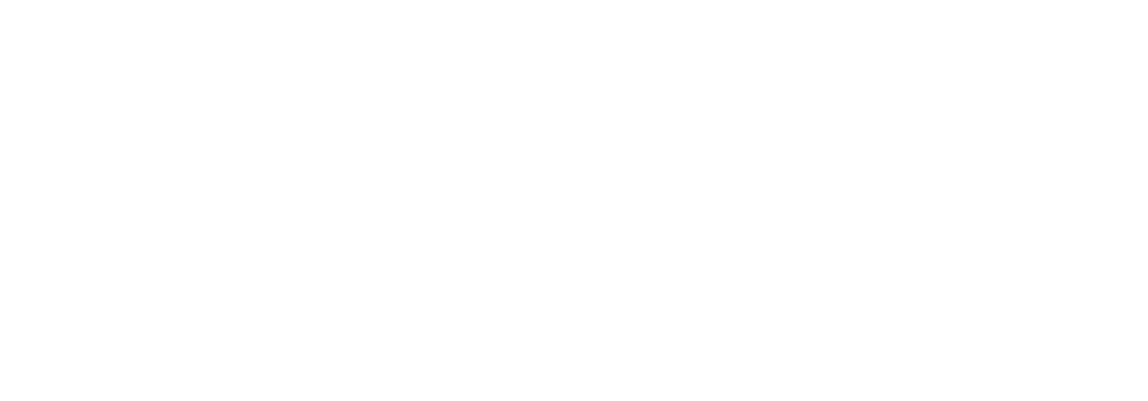 GUYA FIBRE